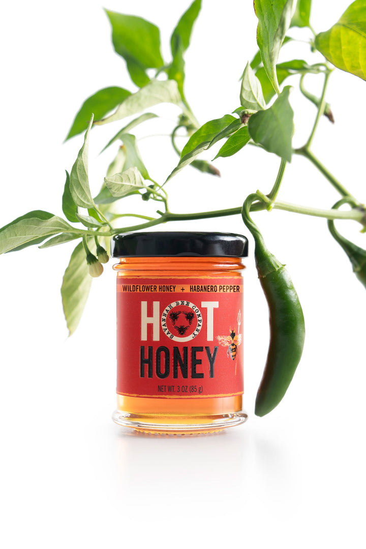 Savannah Bee Hot Honey